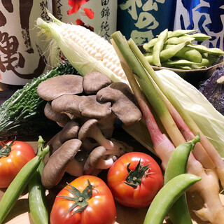 熊本直送の有機野菜はじめ全国で旬を迎えるこだわり野菜