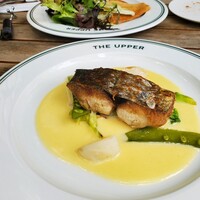 THE UPPER - 