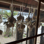 四季の味 おやじのめしや - 