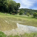 四季の味 おやじのめしや - 