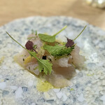 W VILLADORATA COUNTRY REATAURANT - ⑥白身魚のカルパッチョ　シチリアレモンとオリーブオイル　アロマティックハーブ