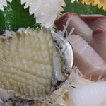 鮑とぶりの刺身