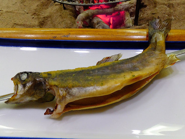 押立温泉 住吉館 - 翁島（料理旅館）の写真