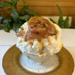 いちょうの木 - 