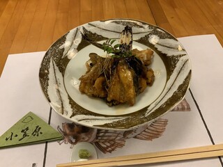 Ogasawara - 