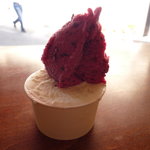 ジェラテリア・イル・ブリガンテ - 料理写真:ジェラート