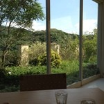 鞘ヶ谷ガーデン アグラス カフェ - 窓からの眺望