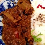 天の勢　地球カレー - 拙速的咖哩飯