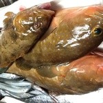 きざかな かくみ - 加太の魚！