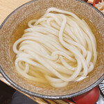 うどん和匠 - 冷かけ、麺大盛りです。（2023.5 byジプシーくん）