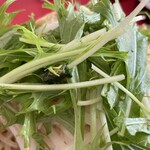 ラーメン もっけだの - 2023.6限定『トマトチーズつけ麺ニンニク野菜マシマシ』の水菜