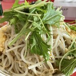 ラーメン もっけだの - 2023.6限定『トマトチーズつけ麺ニンニク野菜マシマシ』の野菜