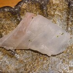 馳走 啐啄一十  - ⑦アコウ【正式名:キジハタ】(愛媛県来島海峡産、3日寝かせ)
      産卵は夏、旬は春~夏だが、大型は通年
      本来は6~7日位寝かせた方が美味しいのですが、急遽のバックアップ食材なので寝かせの時間が足りなかった