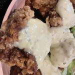 Karaage Hitosuji - 