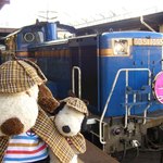 うしろに見えるのはトワイライトエクスプレス。札幌～大阪駅間を走行している人気の寝台特急なんだよ。ディーゼル機関車が先頭についている写真はここでしか撮れないの。
          