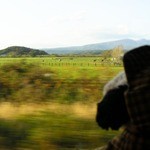 ダイナープレヤデス - あっ、牧場だ。ちびつぬ「牛さんがいる～」