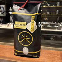 スガラボヴィー - 