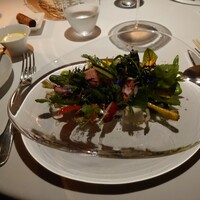 レフェルヴェソンス - 