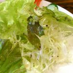 ビーフシチューとハンバーグステーキのお店 BUN吉 - 付け合せのサラダアップ