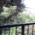 日の出園  - 窓際は緑が見えて気持ち良いです。