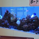 ばぁばのお昼ごはん - 水槽