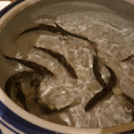 御料理 まつ山 - 