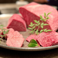 USHIGORO S. SHINJUKU - 