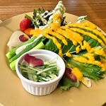 農家ピザくまのグラッチェ - 本日のサラダ