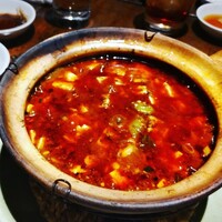 雪梅花 菜根譚 -  雪梅花 菜根譚 -