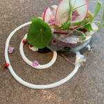 プレヴナンス - 