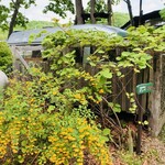 コーヒー&フリマ ポッペ - 