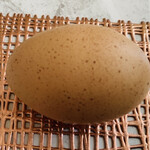 コーヒー&フリマ ポッペ - 