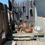 風遊斎 - 入り口のシーサー