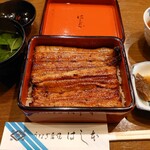 Unagi Hashimoto - 