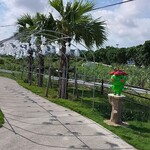 ラ・クンチーナ - 