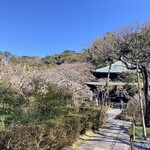 手打そば千花庵 - 次は花の寺の瑞泉寺