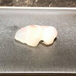 島津 - 宮城　真鯛、