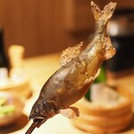 蛍雪の宿 尚文 - 鮎の塩焼き