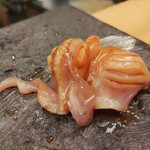 羽田市場 ギンザセブン - 