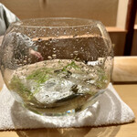 橦木町 しみず - 活け天龍鮎が大暴れ