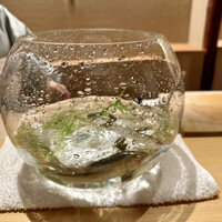 橦木町 しみず - 活け天龍鮎が大暴れ