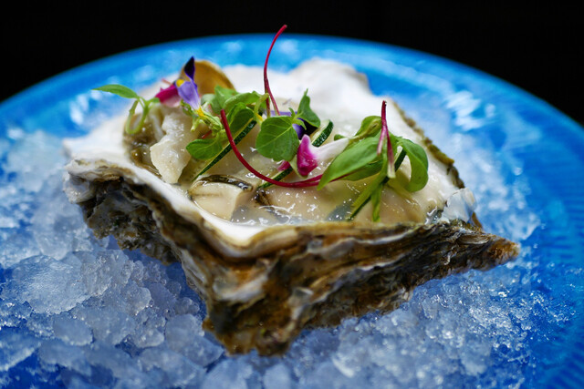 8knot（エイトノット） - 広瀬通（居酒屋）の写真