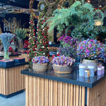 Nicolai Bergmann NOMU - 