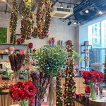 Nicolai Bergmann NOMU - 