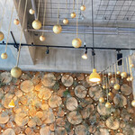 Nicolai Bergmann NOMU - 