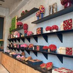 Nicolai Bergmann NOMU - 