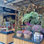 Nicolai Bergmann NOMU - 