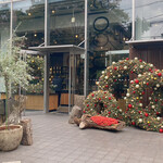 Nicolai Bergmann NOMU - 