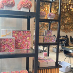 Nicolai Bergmann NOMU - 