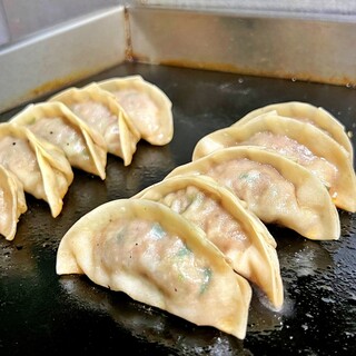 Affordable, delicious and juicy! Backstreet Gyoza / Dumpling!